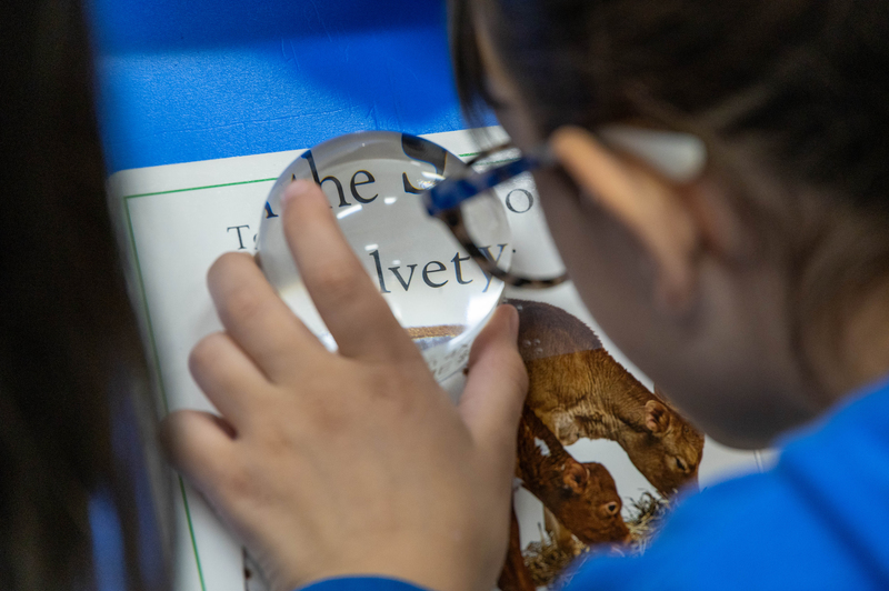 A girl uses a magnifier to read a book.